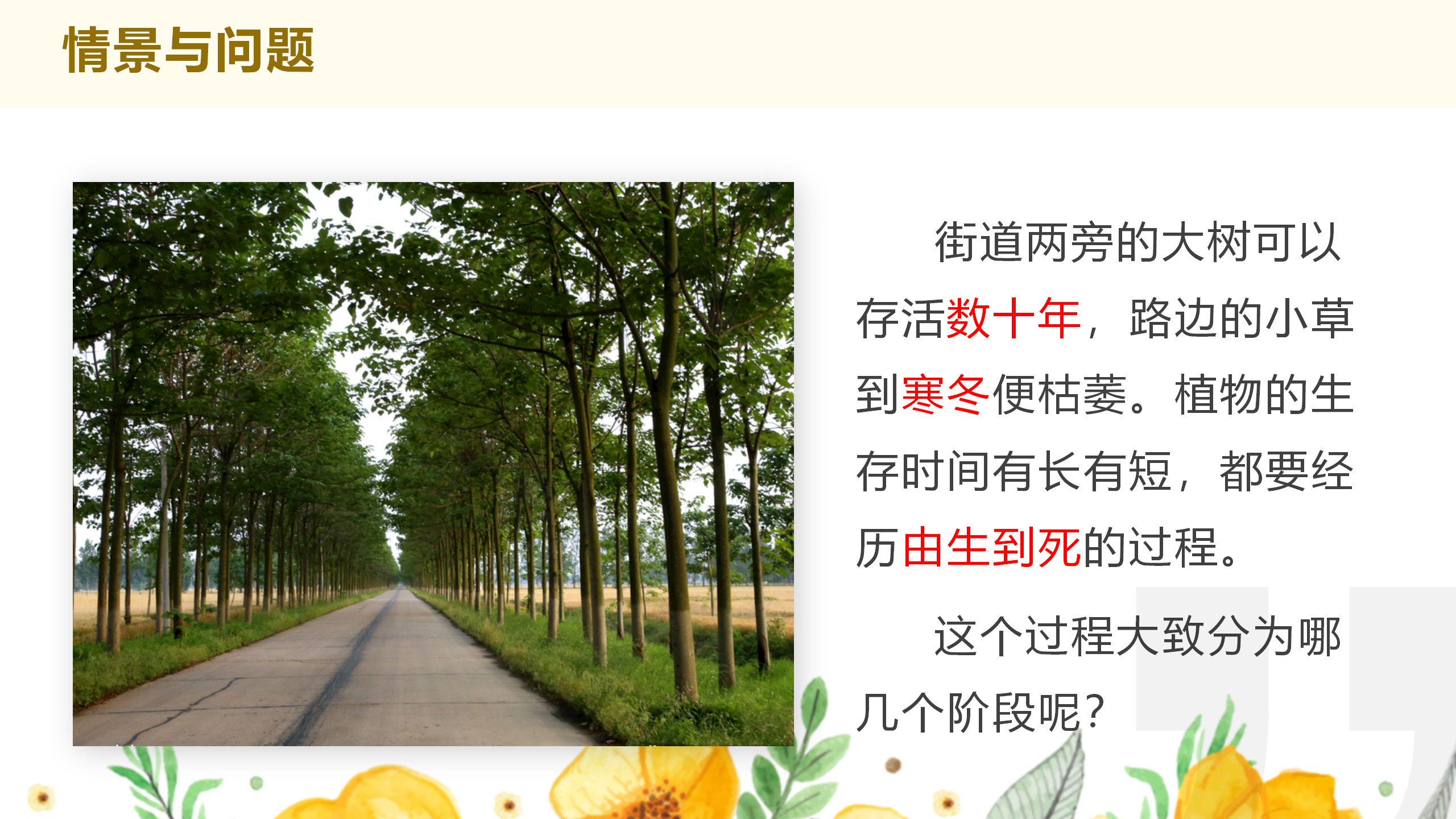 第七课 植物的一生（课件）-四年级科学下册同步备课（冀人版）_03.png