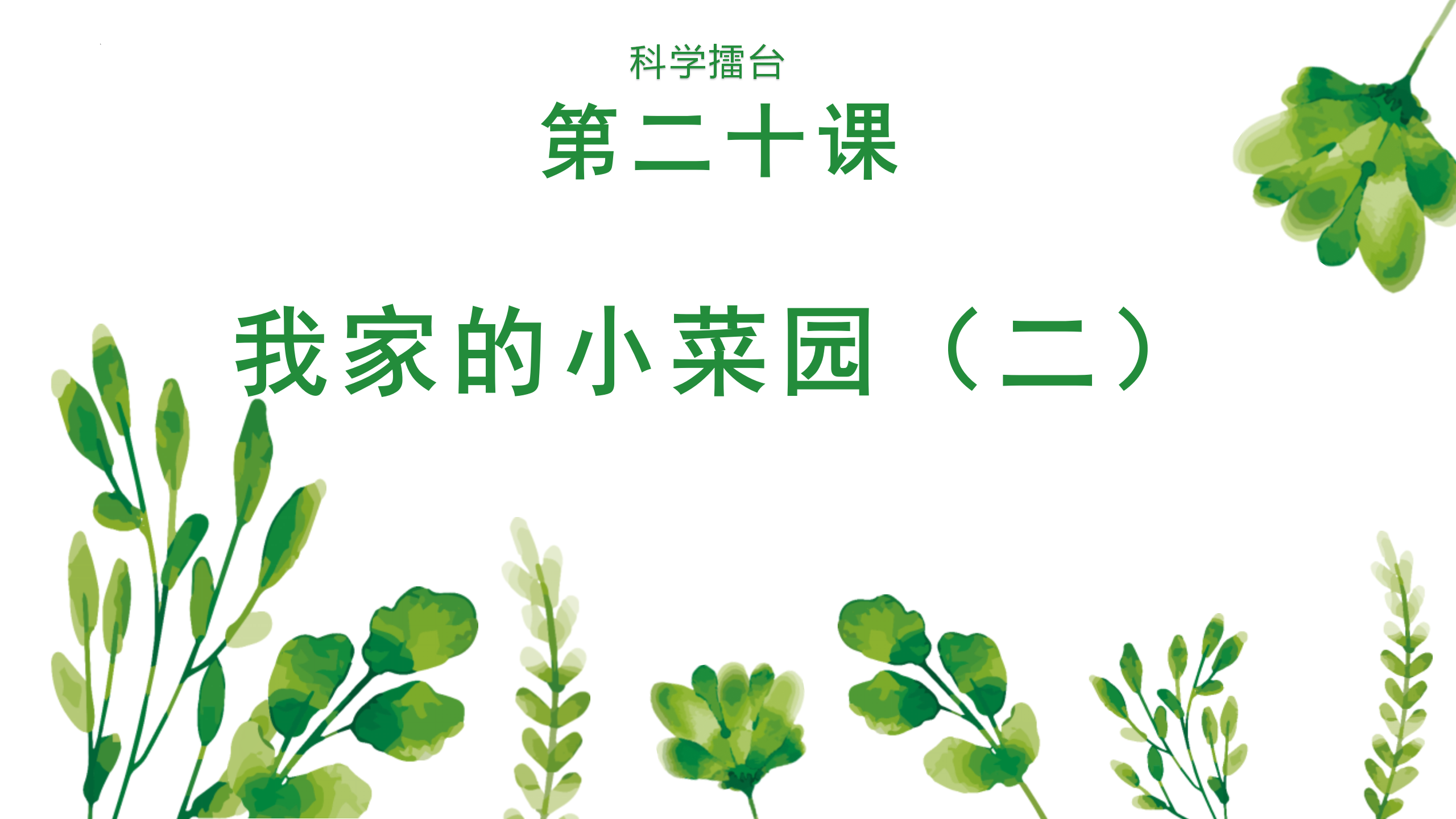 第21课《我家的小菜园（二）》_01.png