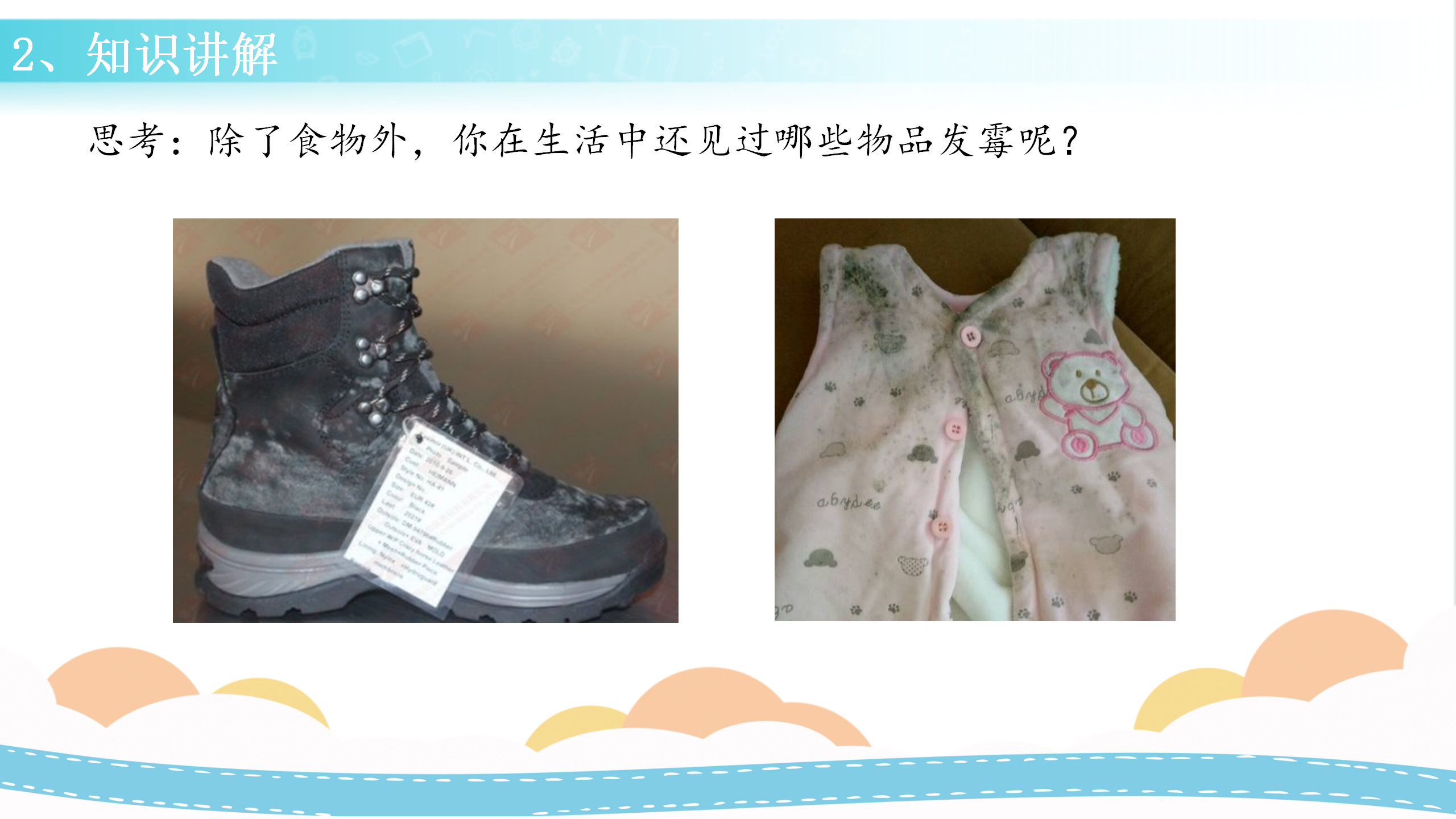15 发霉与防霉（课件）-五年级科学下册同步备课（冀人版）_14.png