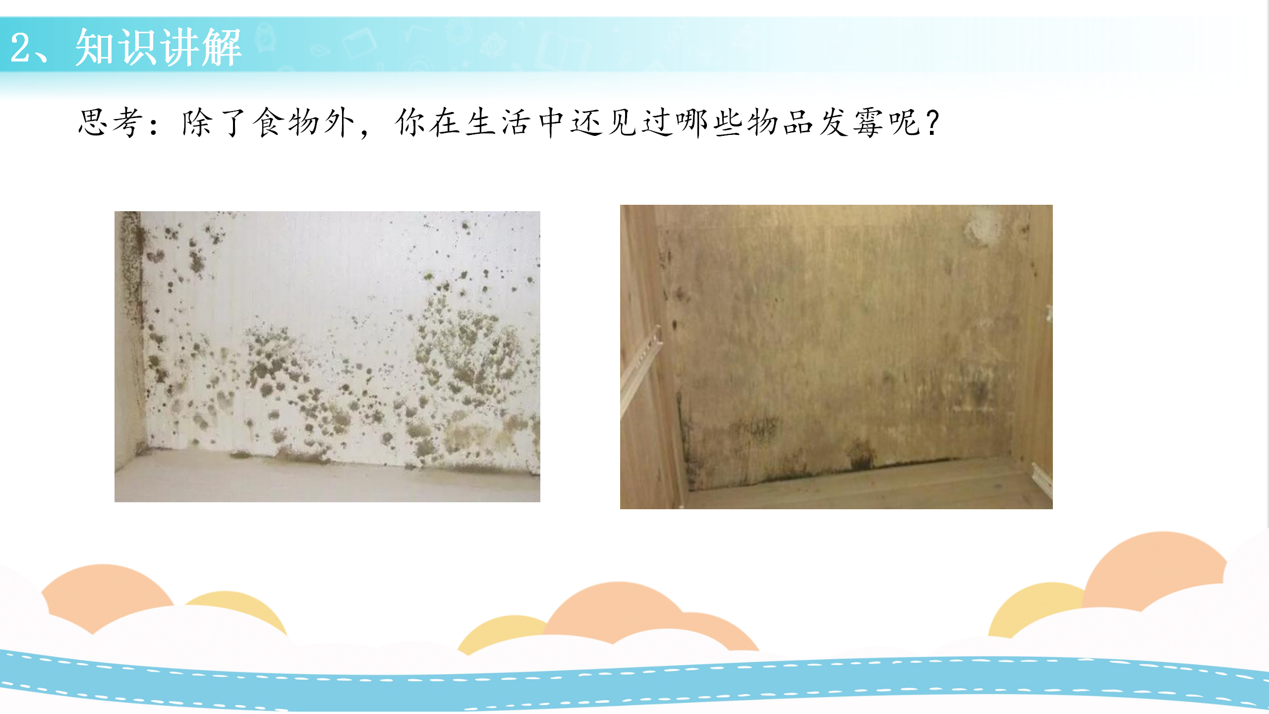 15 发霉与防霉（课件）-五年级科学下册同步备课（冀人版）_16.png