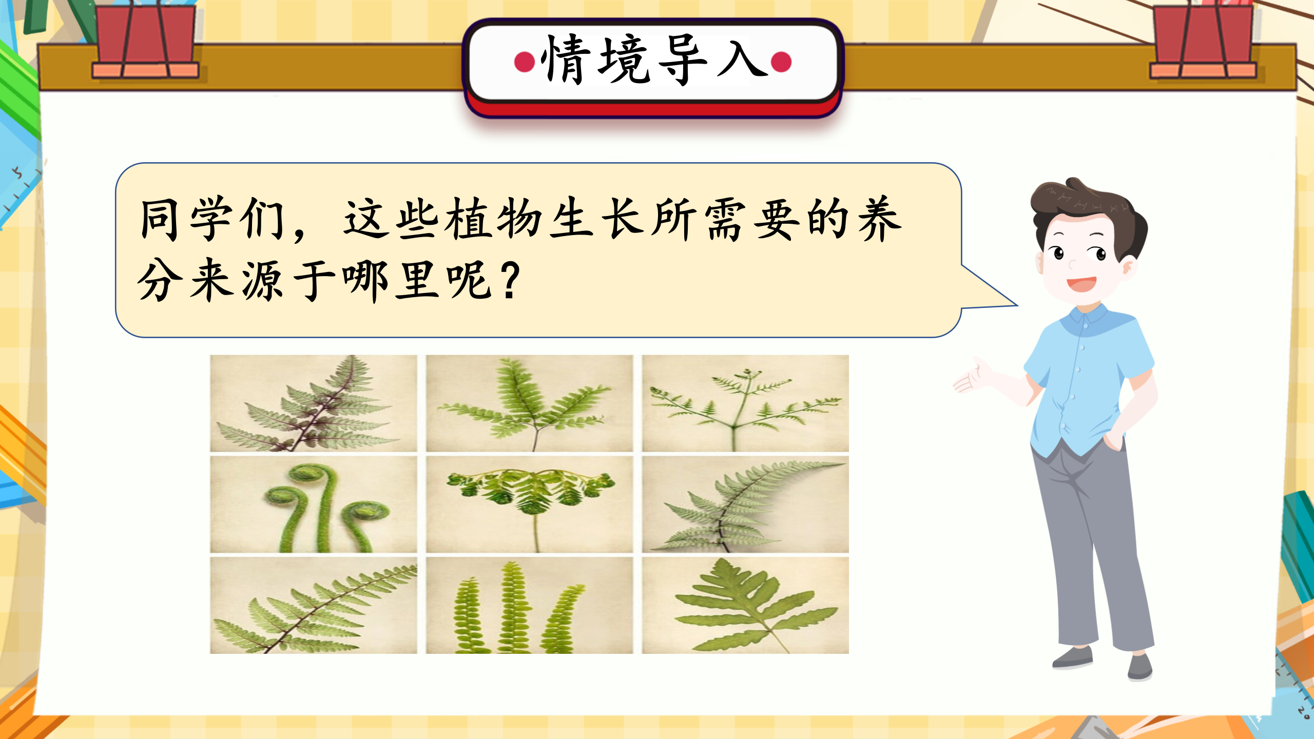 第12课 植物的养分（教学课件）六年级科学上册同步高效课堂系列（冀人版）_03.png