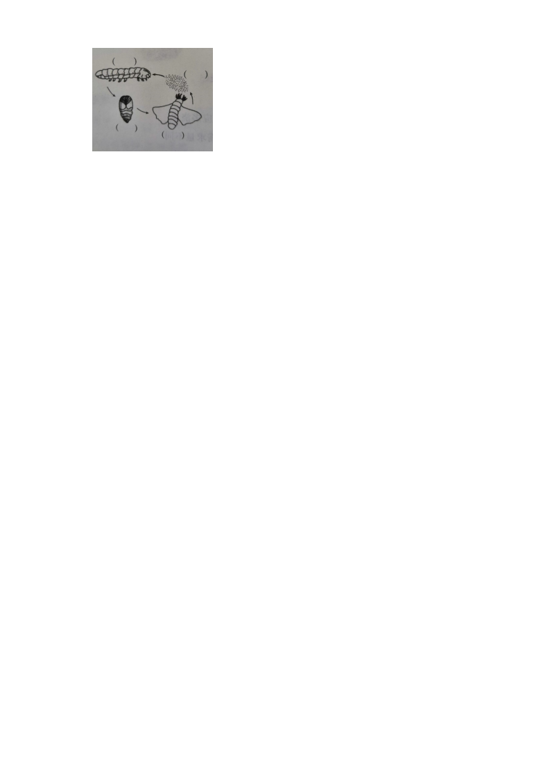 四年级科学下册期中素养测评一_05.png