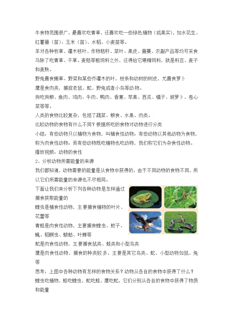 第13课《动物与能量》教案-冀人版六年级科学上册_02.png