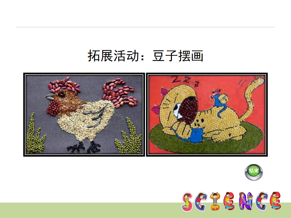 大象版科学一年级上册不一样的豆子PPT课件共11页_11.png