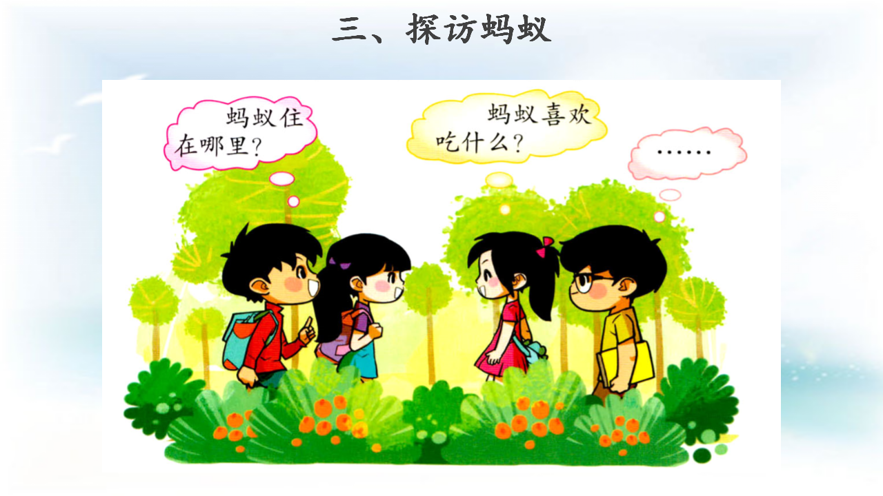 【教学课件】《蚂蚁》_06.png