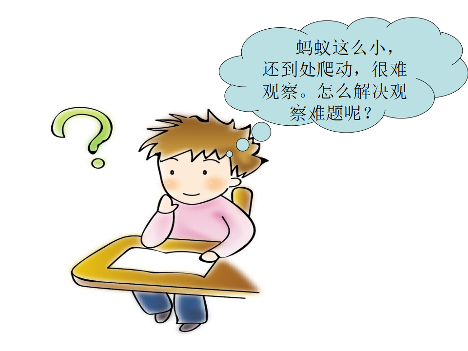 2017大象版科学一年级上册第二单元第3课《蚂蚁》ppt课件1_18.png
