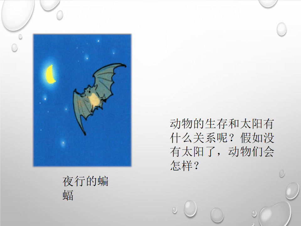 3.2太阳对动植物的影响｜大象版 共12张PPT_08.png