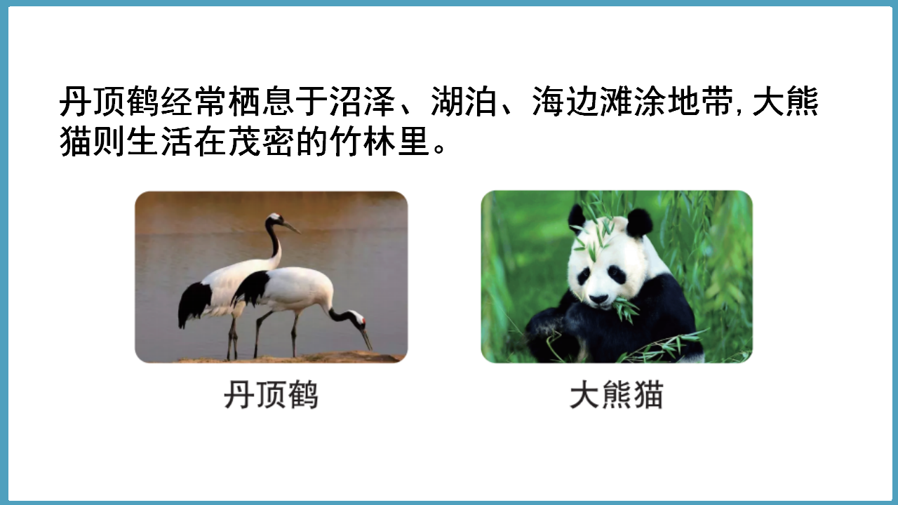 1.1  动物的家园（课件）六年级科学下册大象版（2017）_02.png
