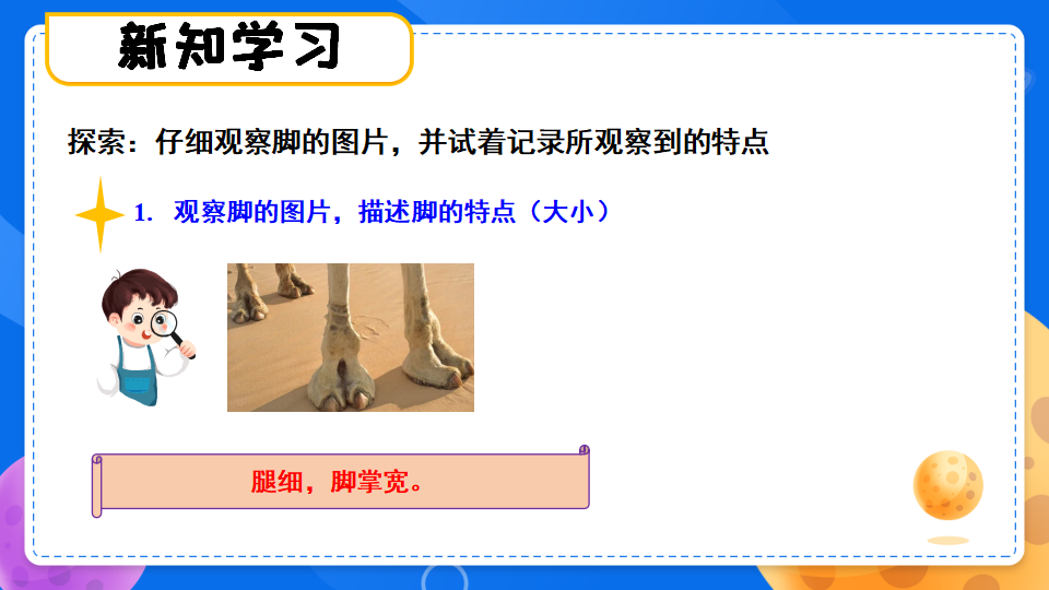 准备单元 这是谁的脚（课件）二年级上册科学大象版_09.png