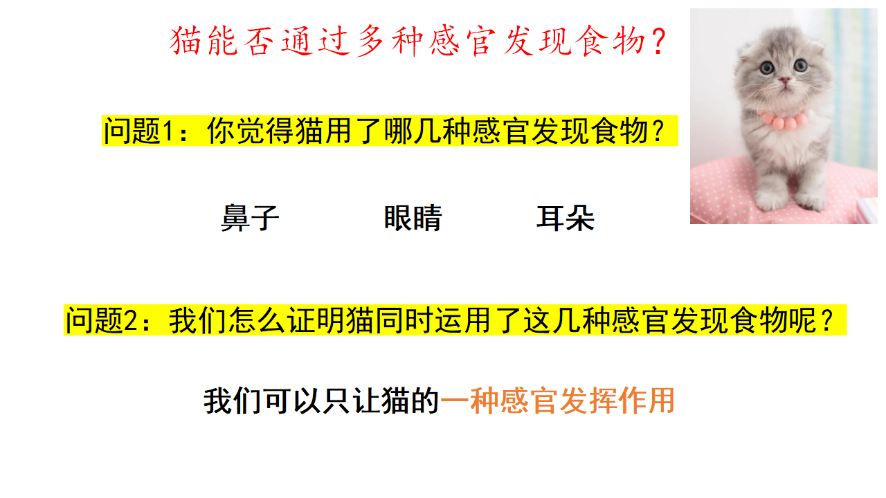 4.2 动物觅食（课件）-2022-2023学年大象版2017二年级科学上册_06.png