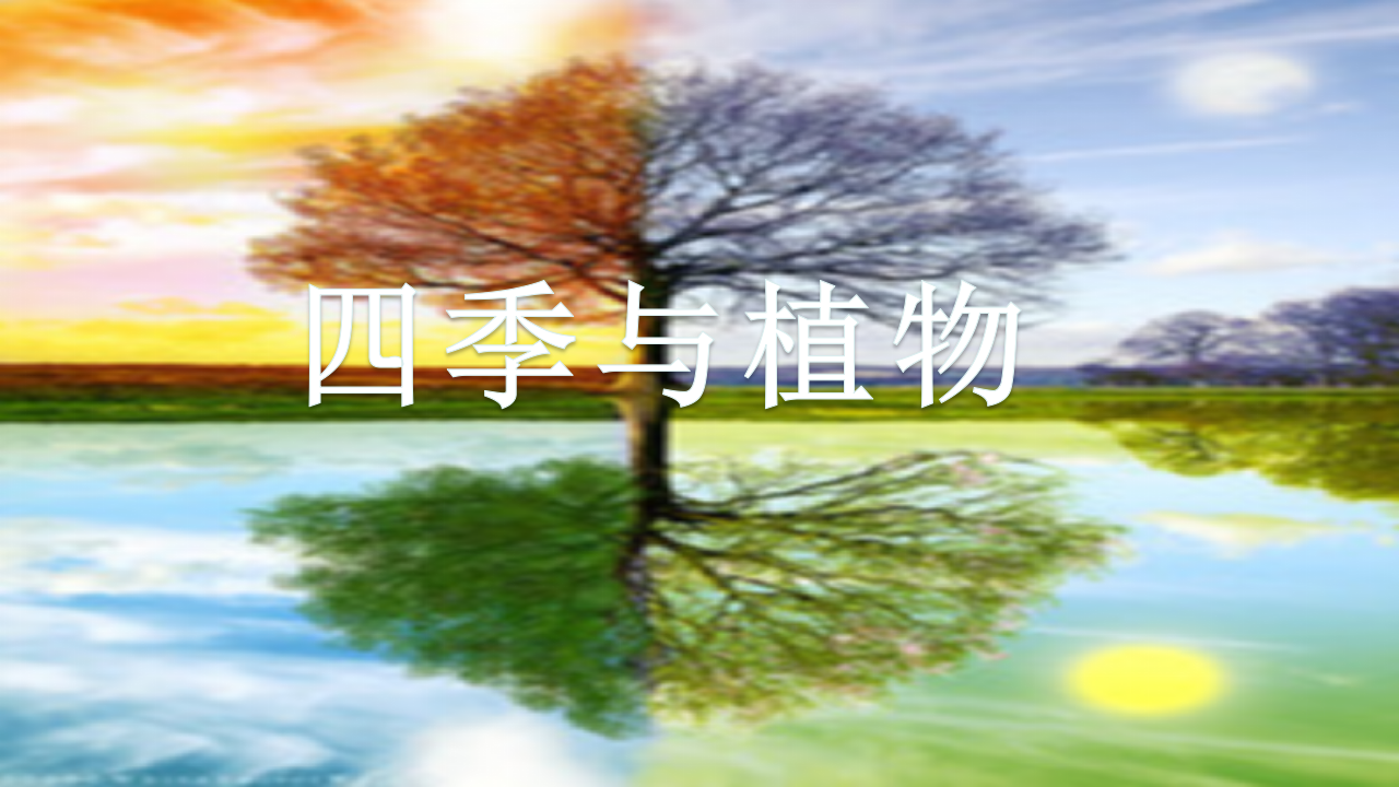 3.3四季与植物（精品课件）_04.png