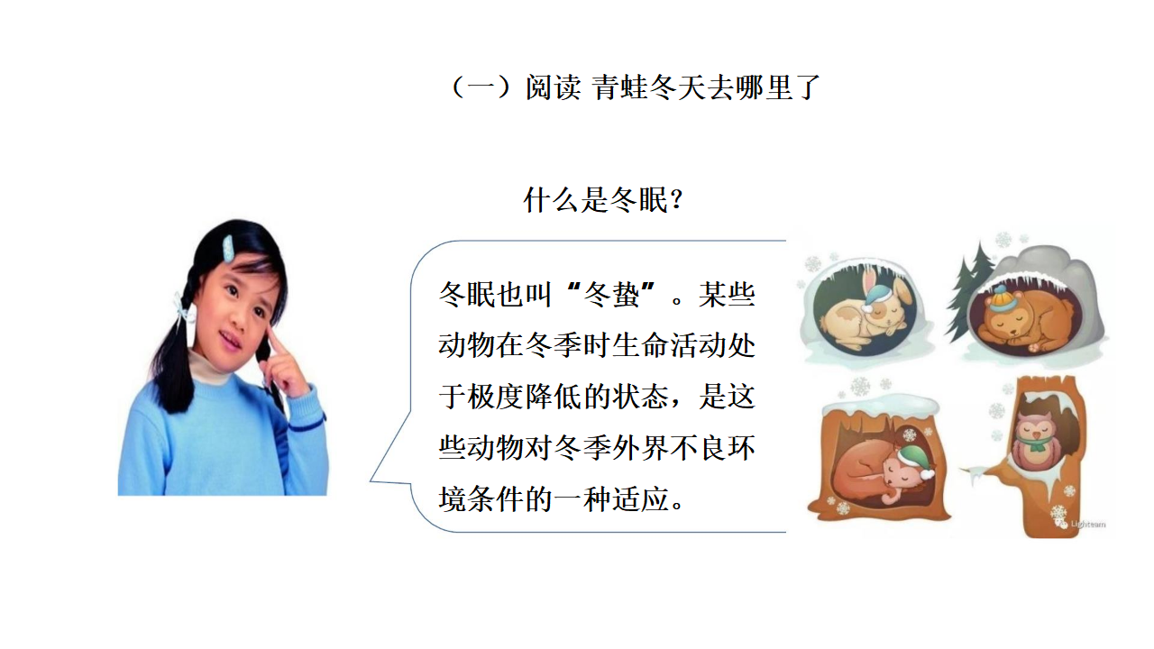 3.2 四季与动物 大象版_03.png