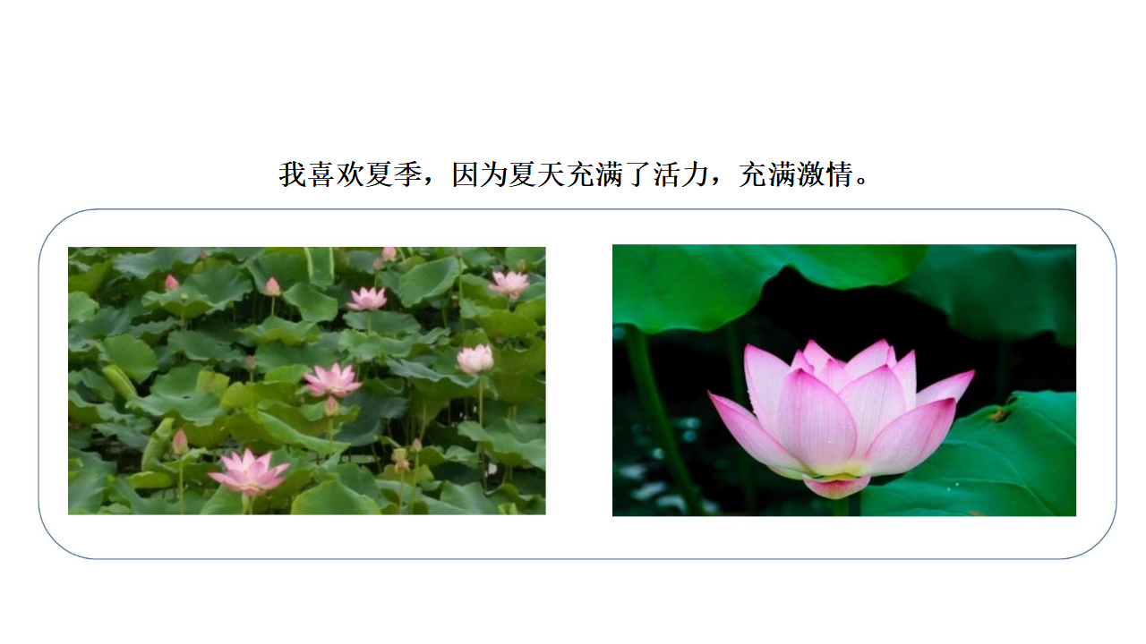 3.1春夏秋冬课件_14.png