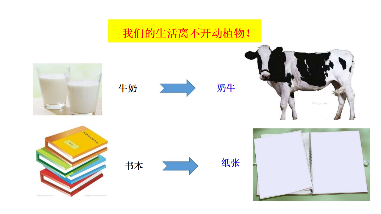 1.1 荒岛生存 大象版_10.png