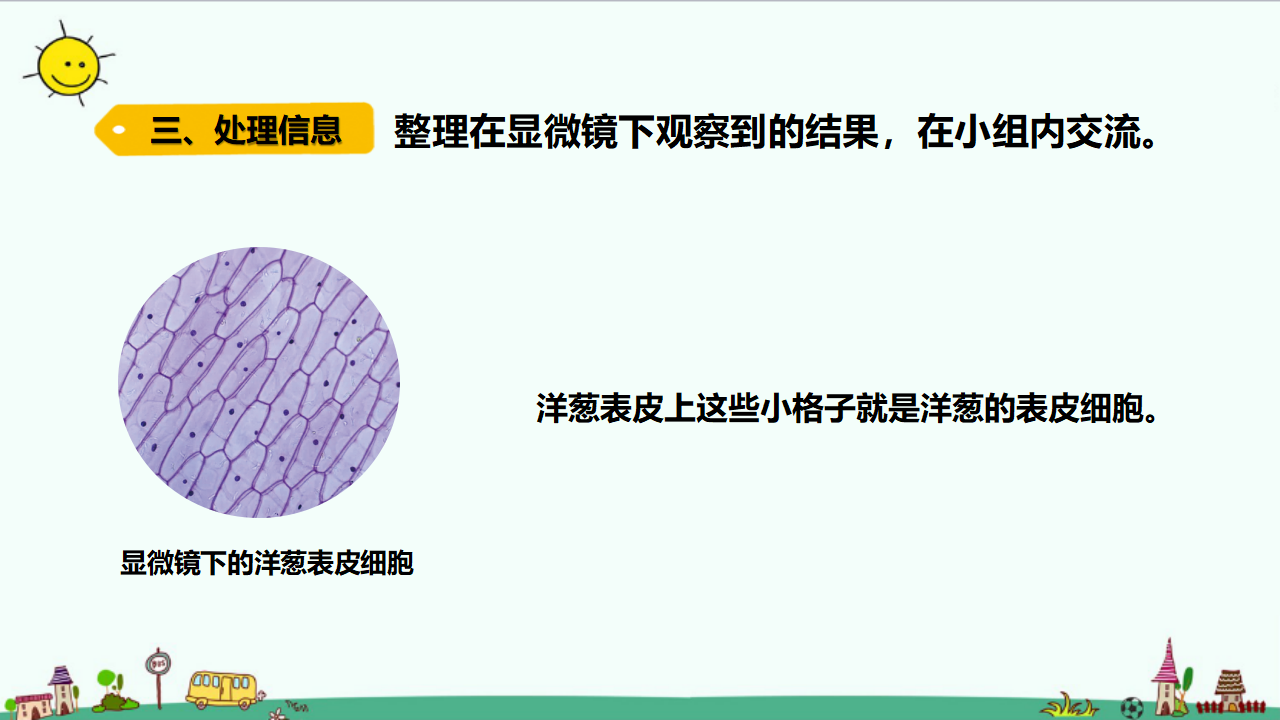 1.1 显微镜下的细胞（含练习）课件_09.png