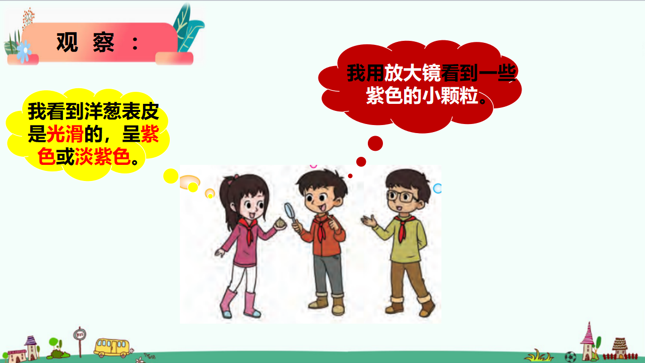 1.1 《显微镜下的细胞》课件_07.png