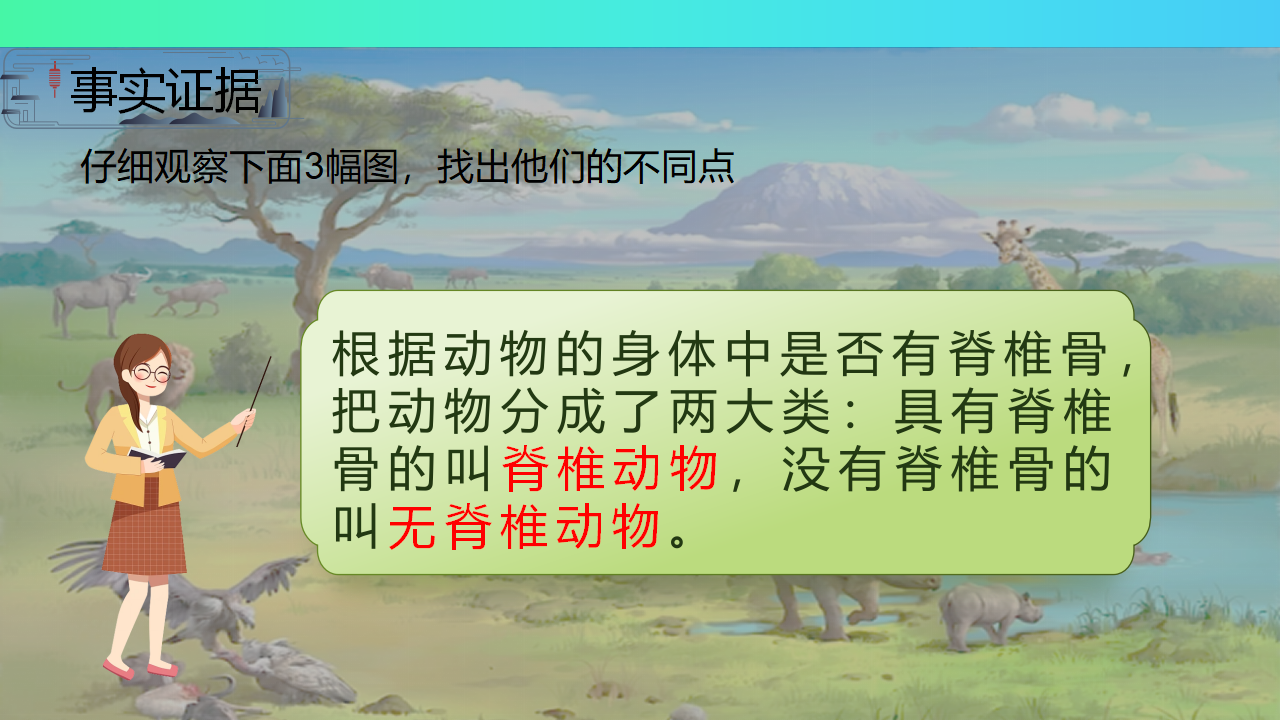 第2.3课 动物的分类（教学课件）三年级科学上册同步高效课堂系列（大象版）_03.png