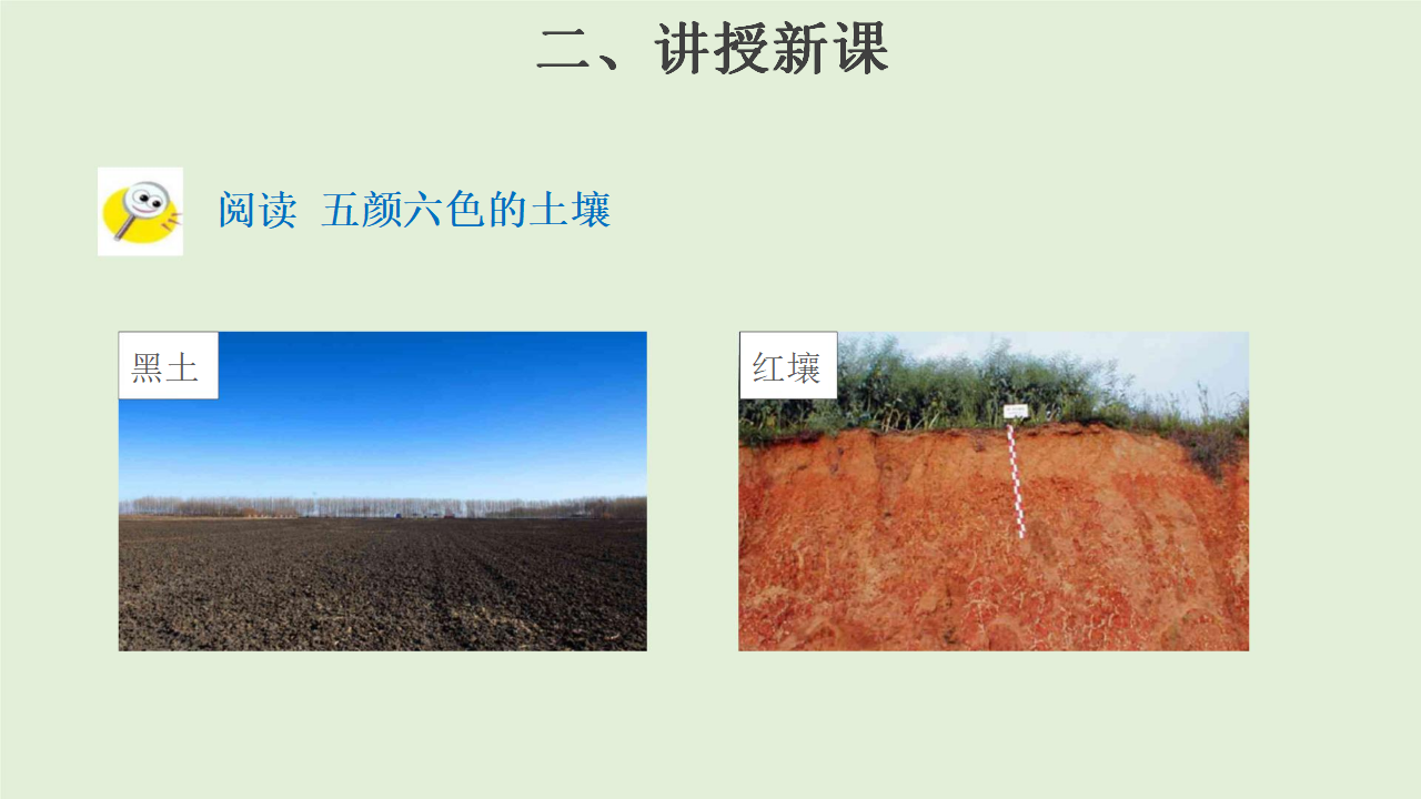 4.3 不一样的土壤 三年级下册科学 大象版共18张PPT_16.png