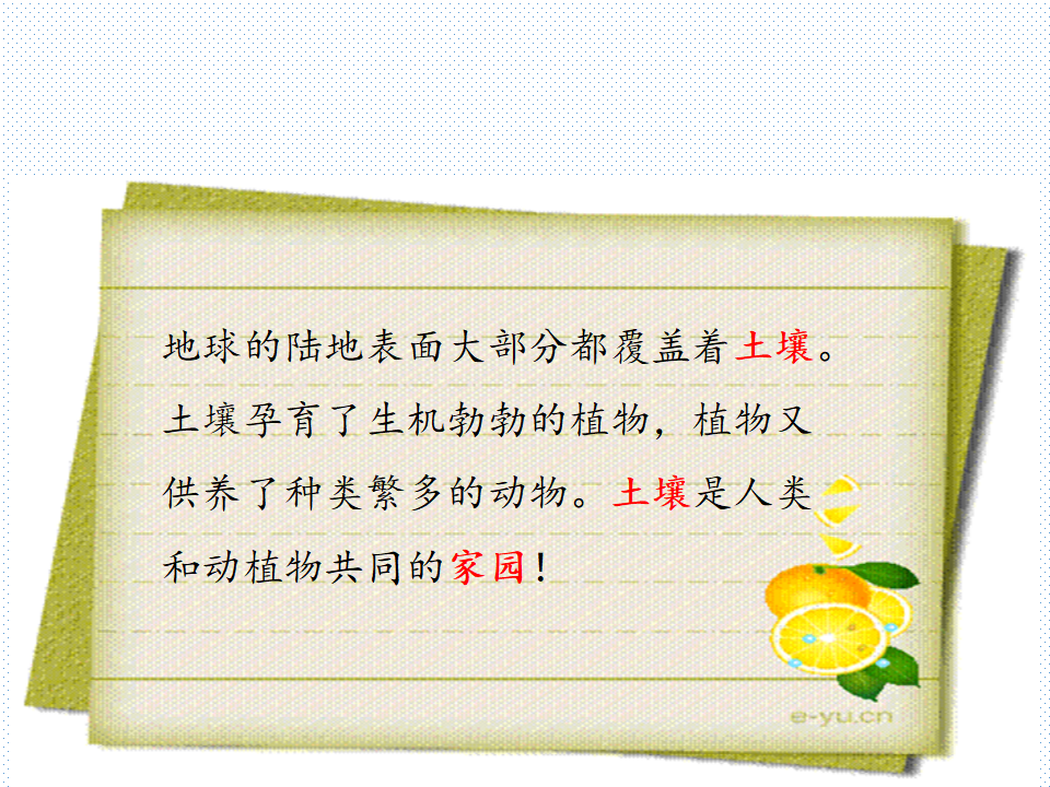 4.1生机勃勃的土壤_15.png