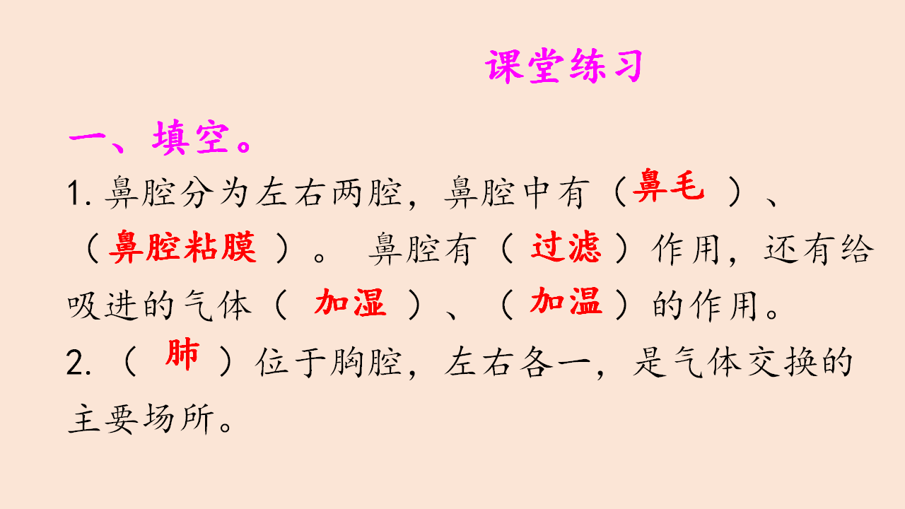 四年级上册科学课件（含课堂练习）-4.2 我们的呼吸器官 大象版_12.png