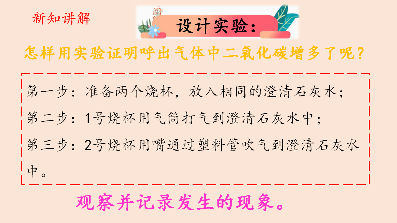 四年级上册科学课件（含课堂练习）-4.1 我们需要呼吸 大象版_05.png