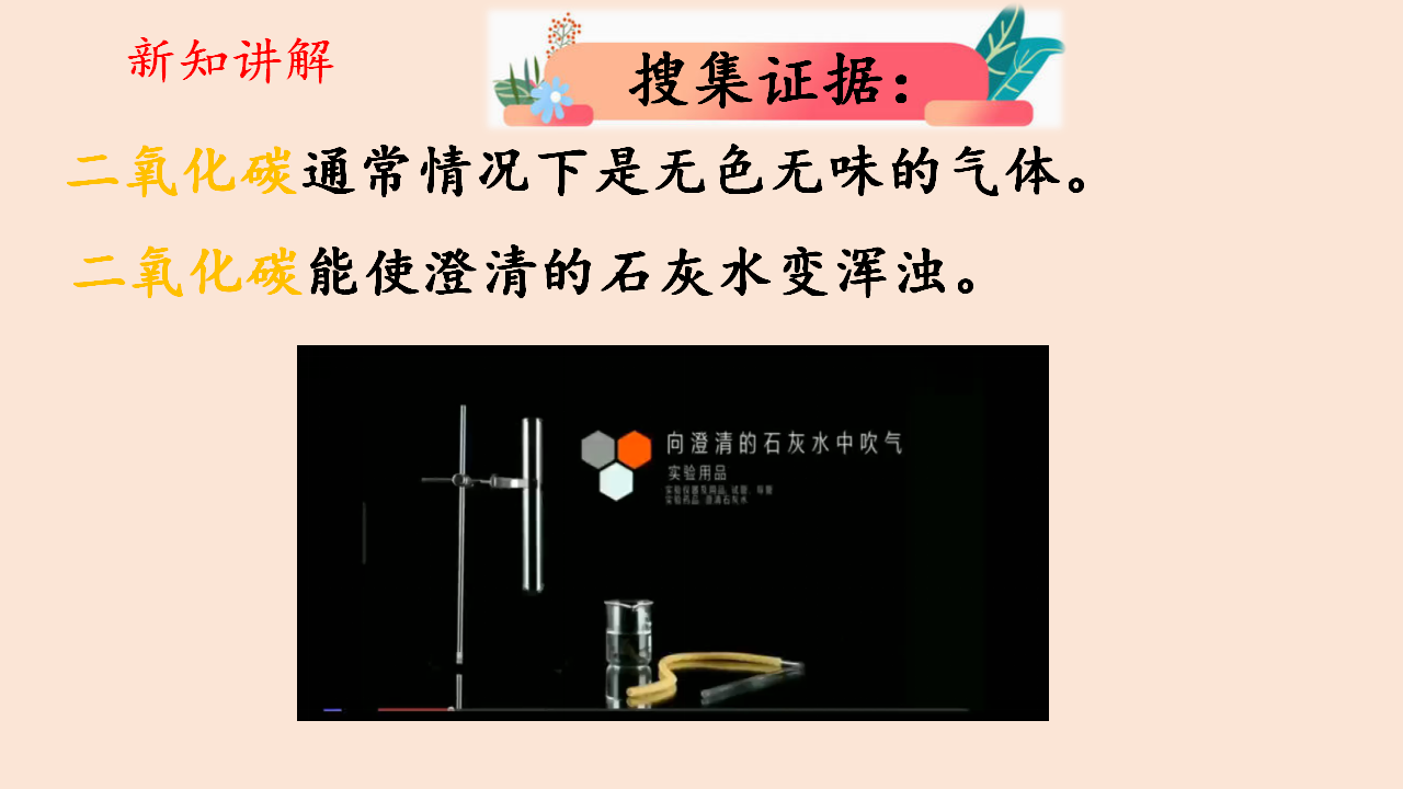 四年级上册科学课件（含课堂练习）-4.1 我们需要呼吸 大象版_04.png