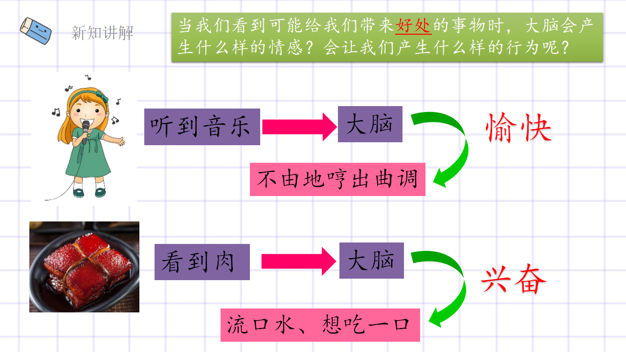第2.3课 人体司令部（教学课件）五年级科学上册同步高效课堂系列（大象版）_11.png