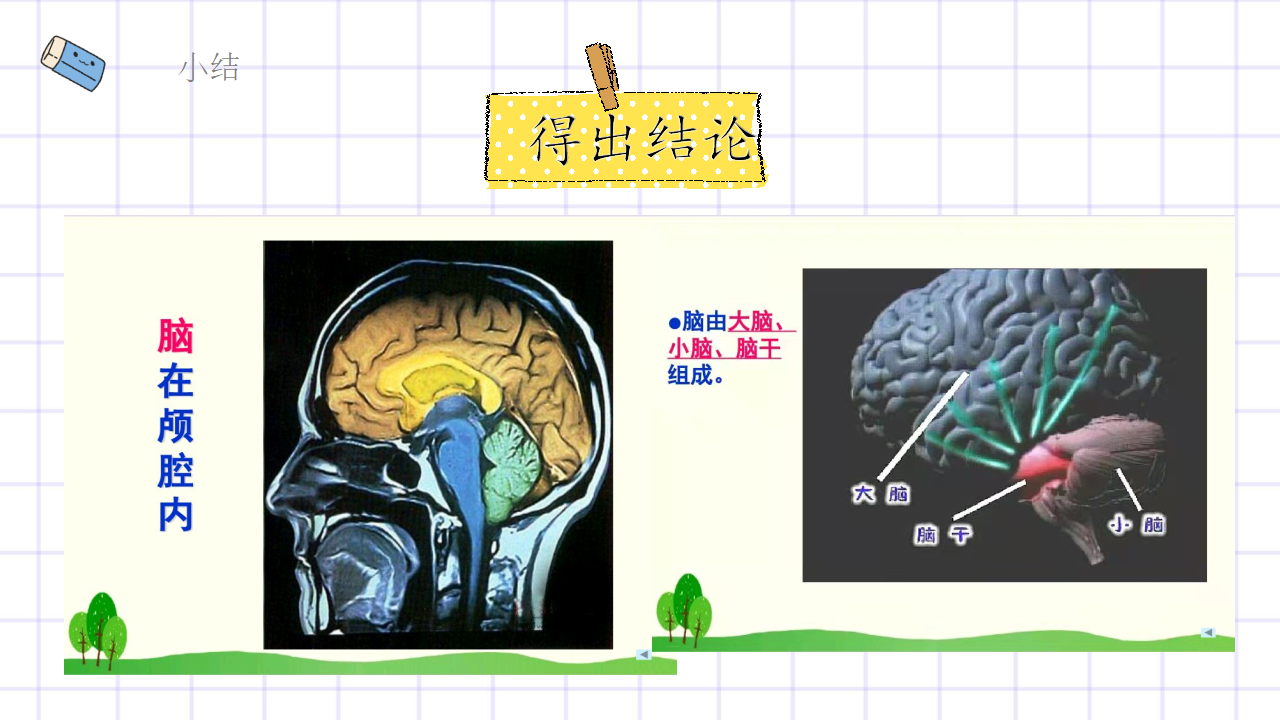 第2.3课 人体司令部（教学课件）五年级科学上册同步高效课堂系列（大象版）_22.png