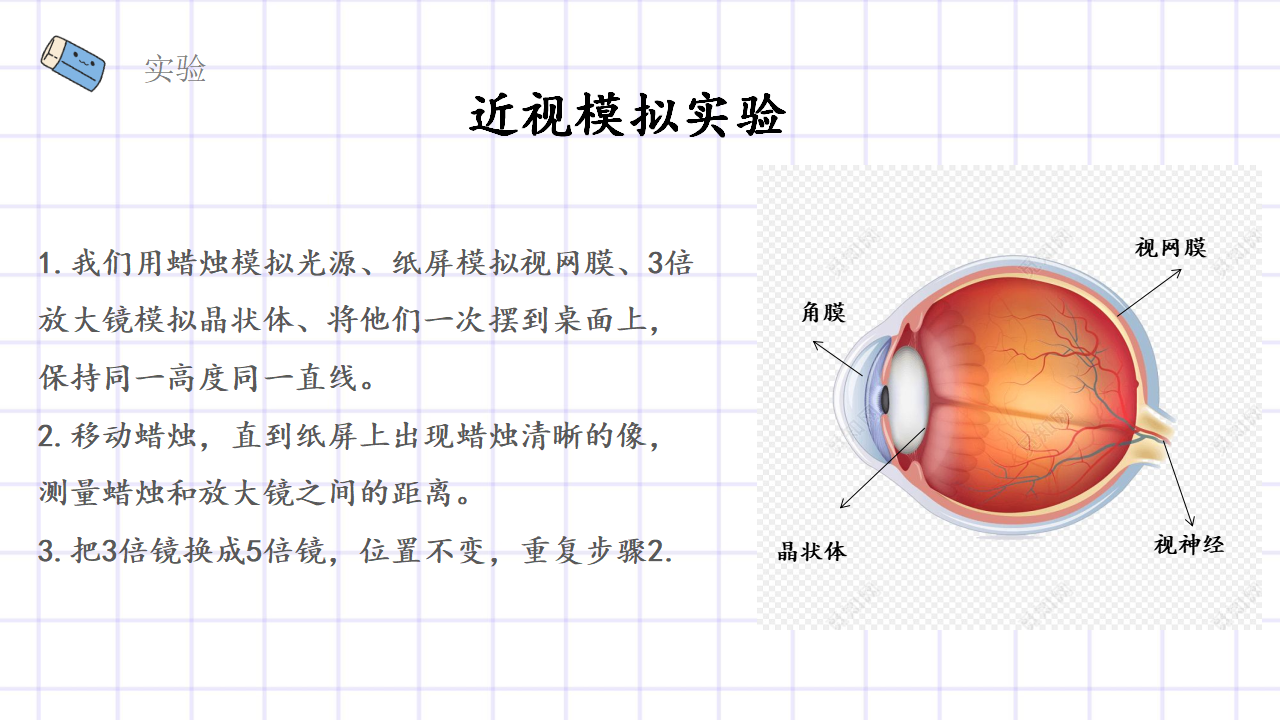 第2.2课 保护器官（教学课件）五年级科学上册同步高效课堂系列（大象版）_24.png