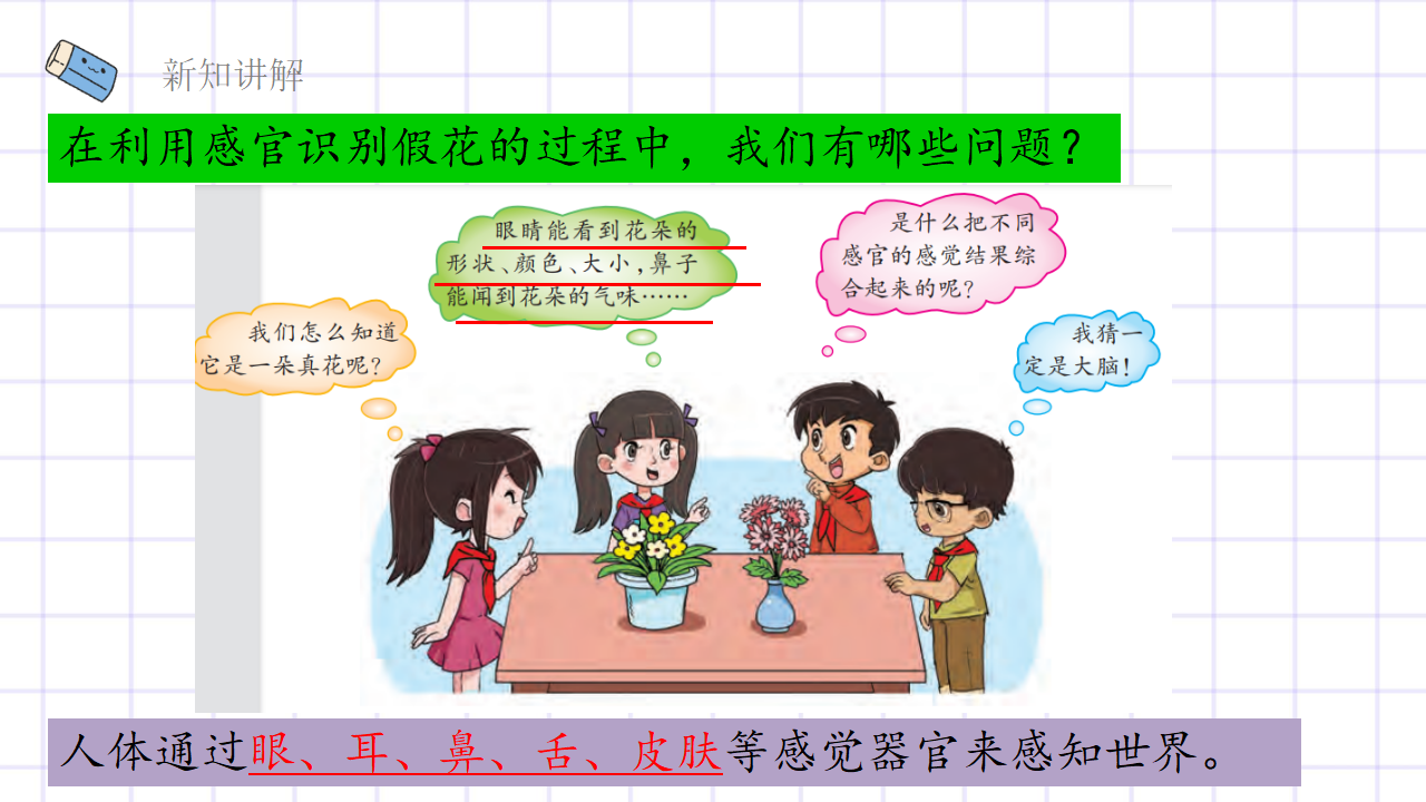 第2.1课 感官、大脑与认知（教学课件）五年级科学上册同步高效课堂系列（大象版）_12.png