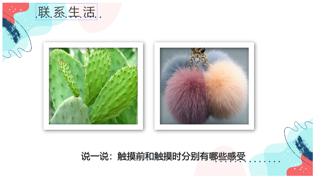 大象版（新）五年级上册科学2.1感官、大脑、与认知（ppt 31_22.png