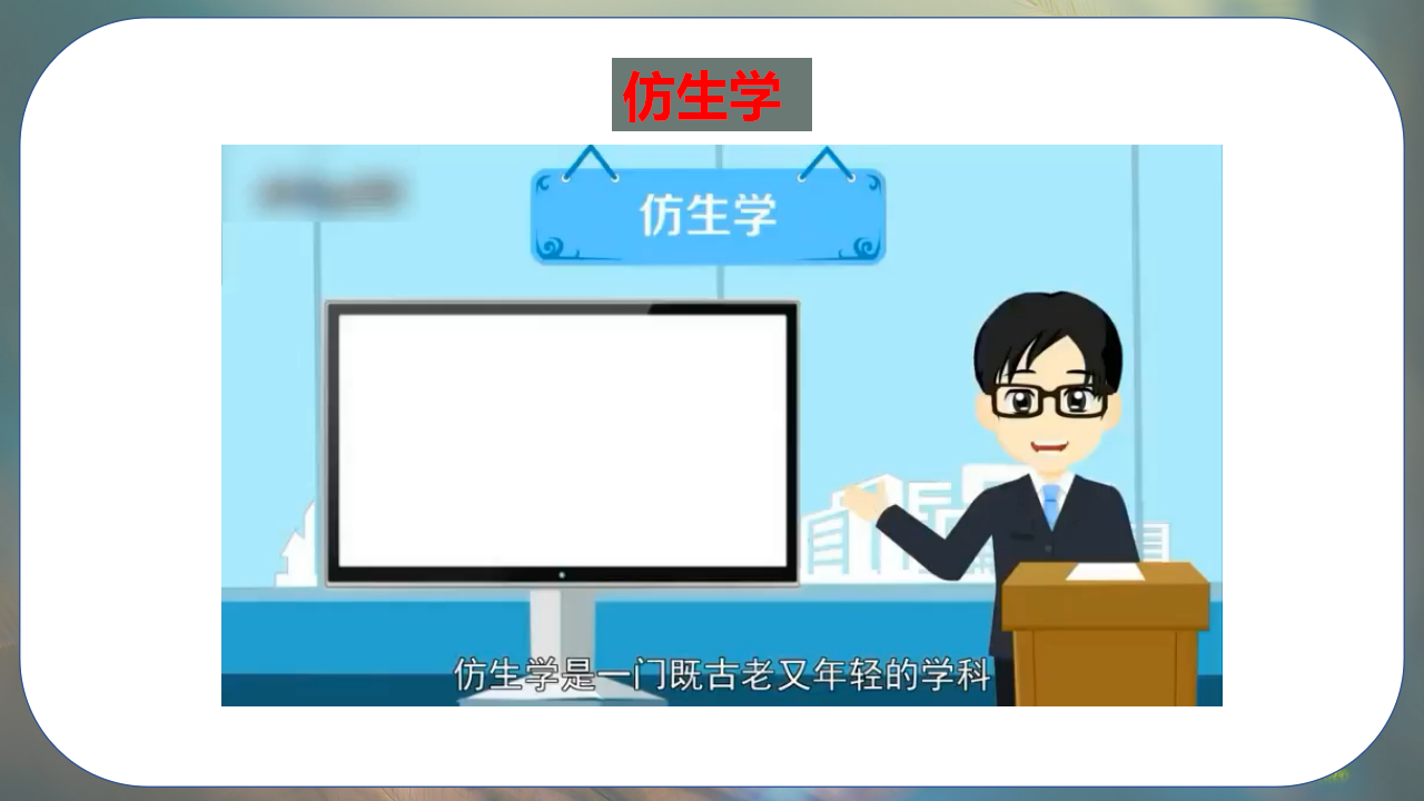 大象版科学（2017）五年级下册5.1《苍耳的启示》精品课件_11.png