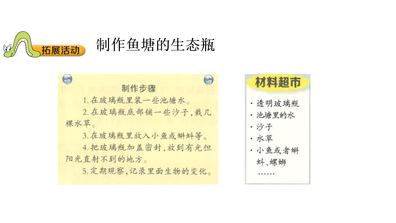 4.5  生态平衡配套课件五年级下册科学大象版_09.png