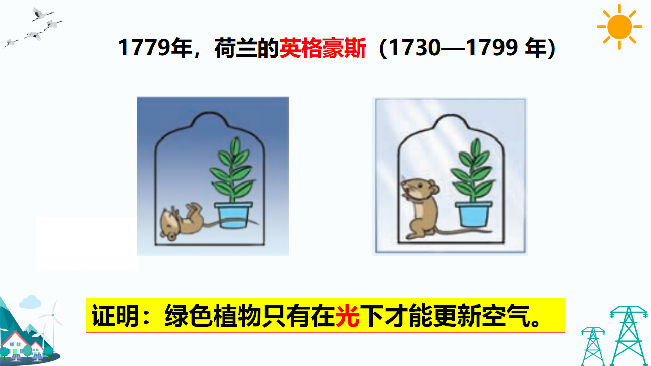 4.3 植物的“食物” 教学课件_07.png