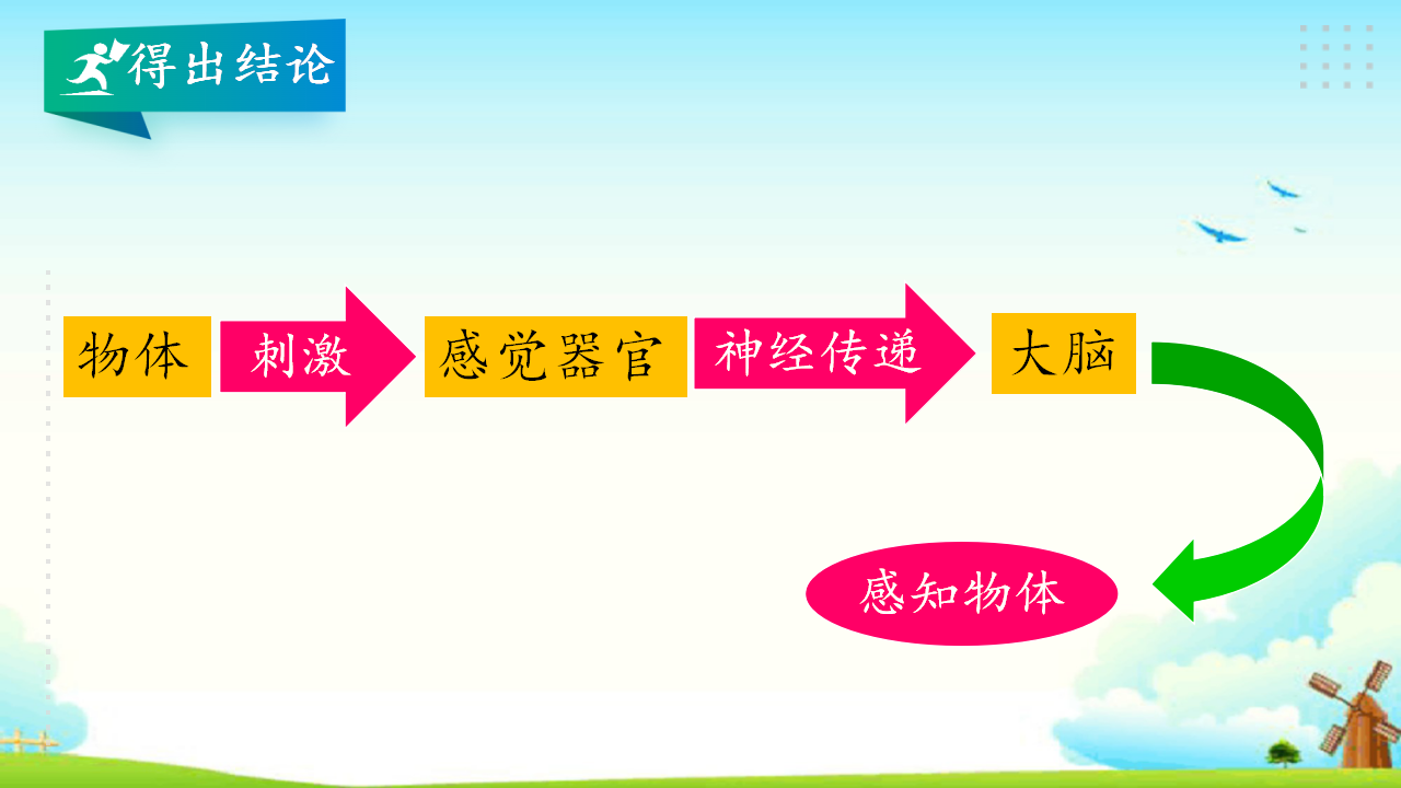 2.1感官、大脑与认知 教学课件_13.png