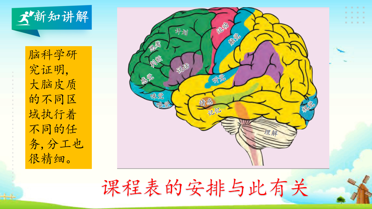 2.4脑的保健 教学课件_07.png
