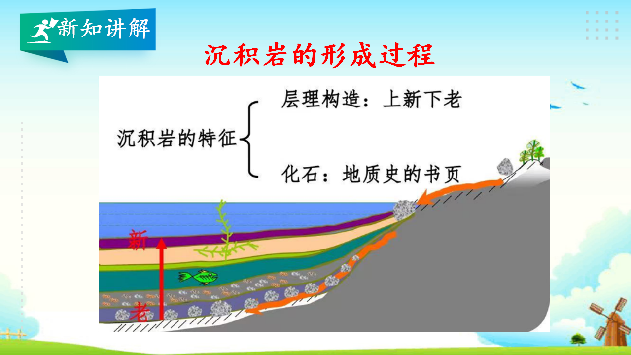 4.3地壳中的岩石 教学课件_16.png