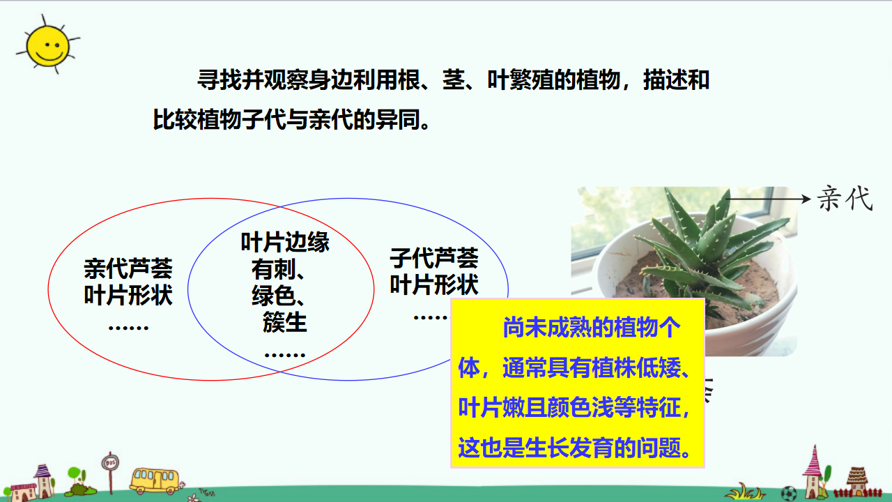 4.3 植物的遗传和变异（含练习）课件_04.png