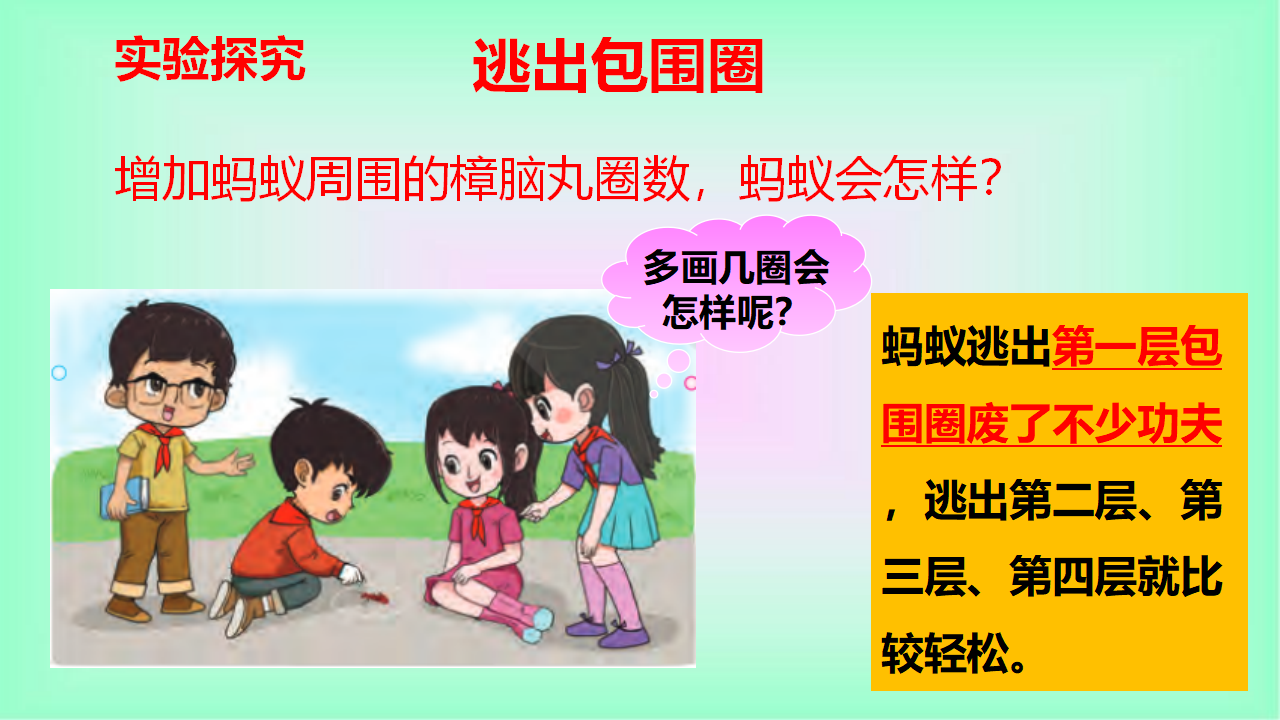 1.5和谐相处是一家 教学课件_06.png