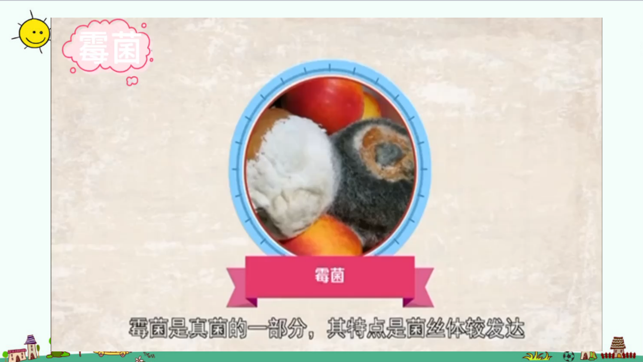 1.3《发霉的馒头》课件_07.png