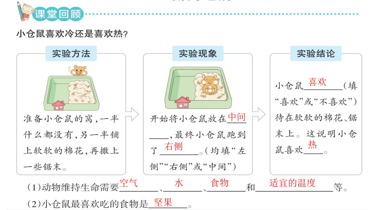 1.3 领养小仓鼠配套课件四年级下册科学大象版_10.png