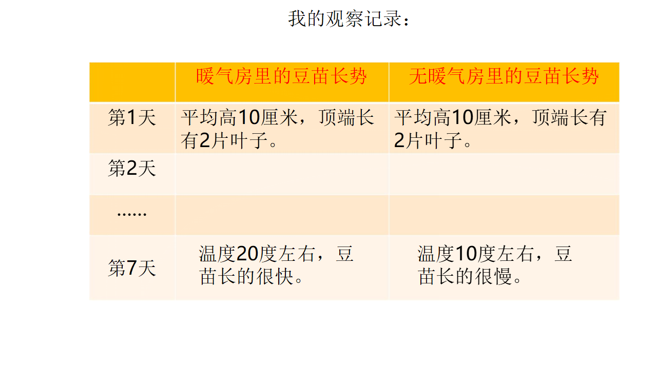 1.1 我们的豆苗配套课件四年级下册科学大象版_11.png
