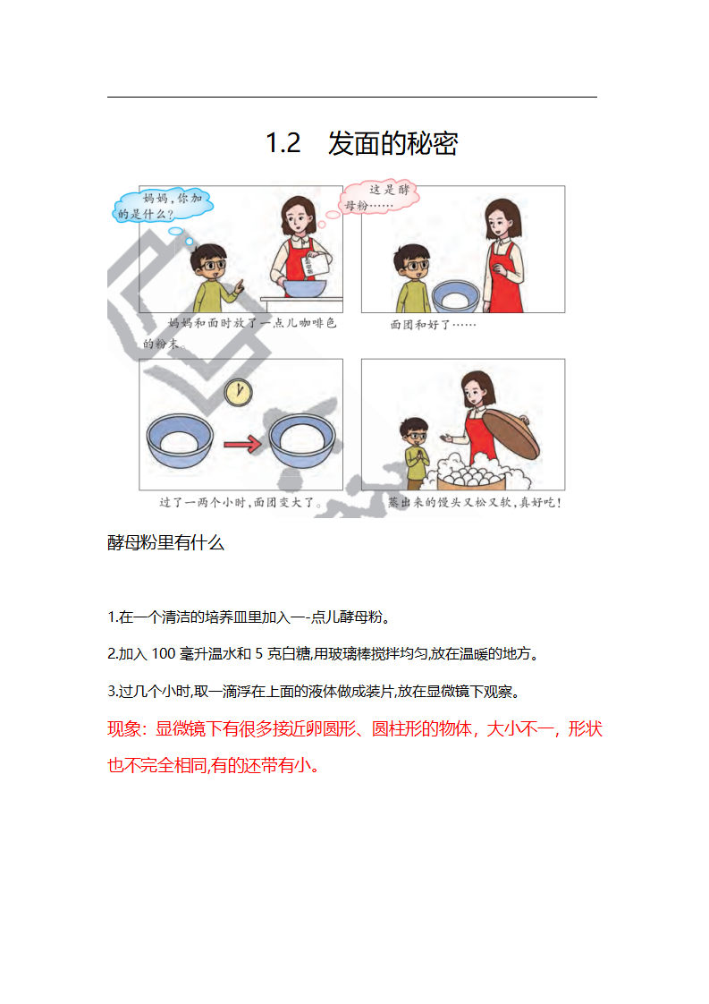 1.2 发面的秘密_01.png