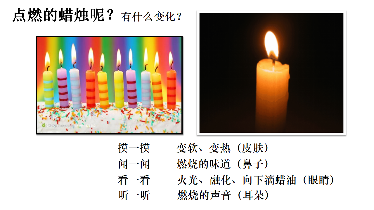 6《感官总动员》课件-2024-2025学年科学一年级上册苏教版_09.png
