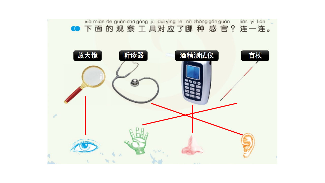 5《借助工具观察》课件-2024-2025学年科学一年级上册苏教版_14.png