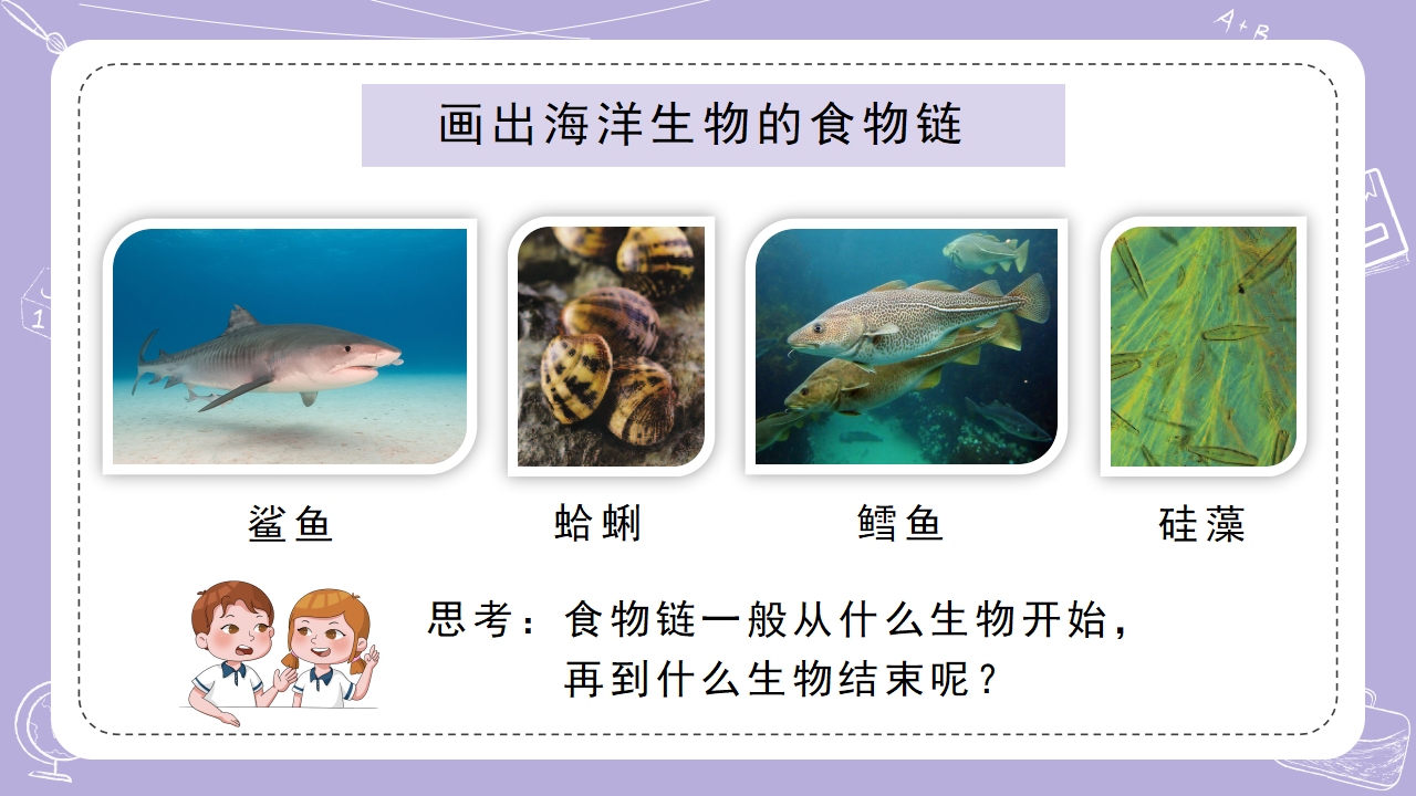 2.6有趣的生物链_04.png