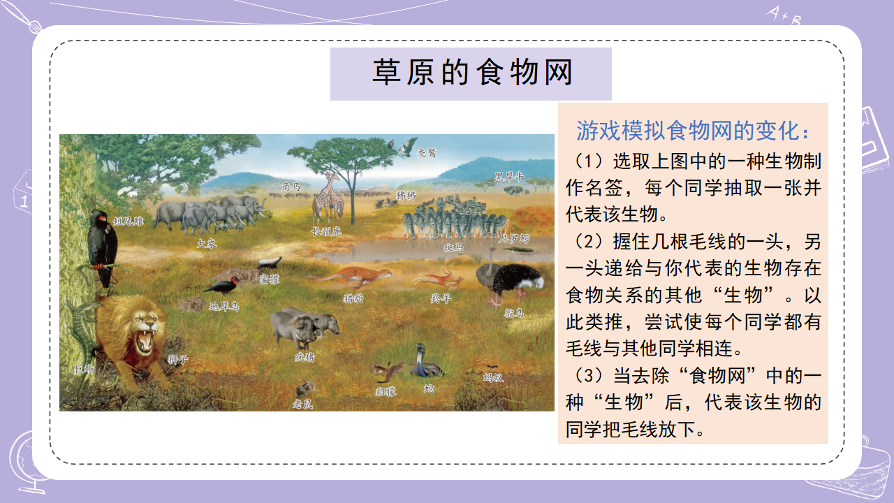 2.6有趣的生物链_06.png