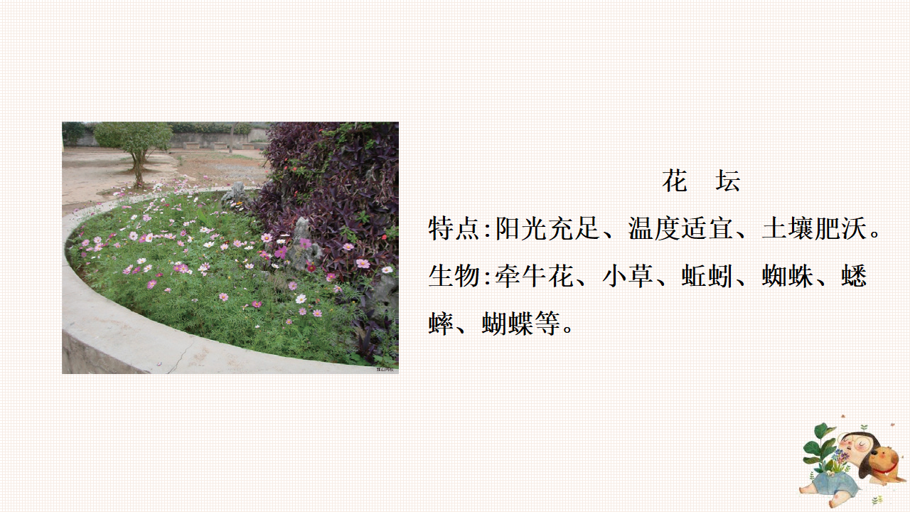 2.5多样的栖息地（课件）-2022-2023学年六年级科学下册同步备课（苏教版）_17.png
