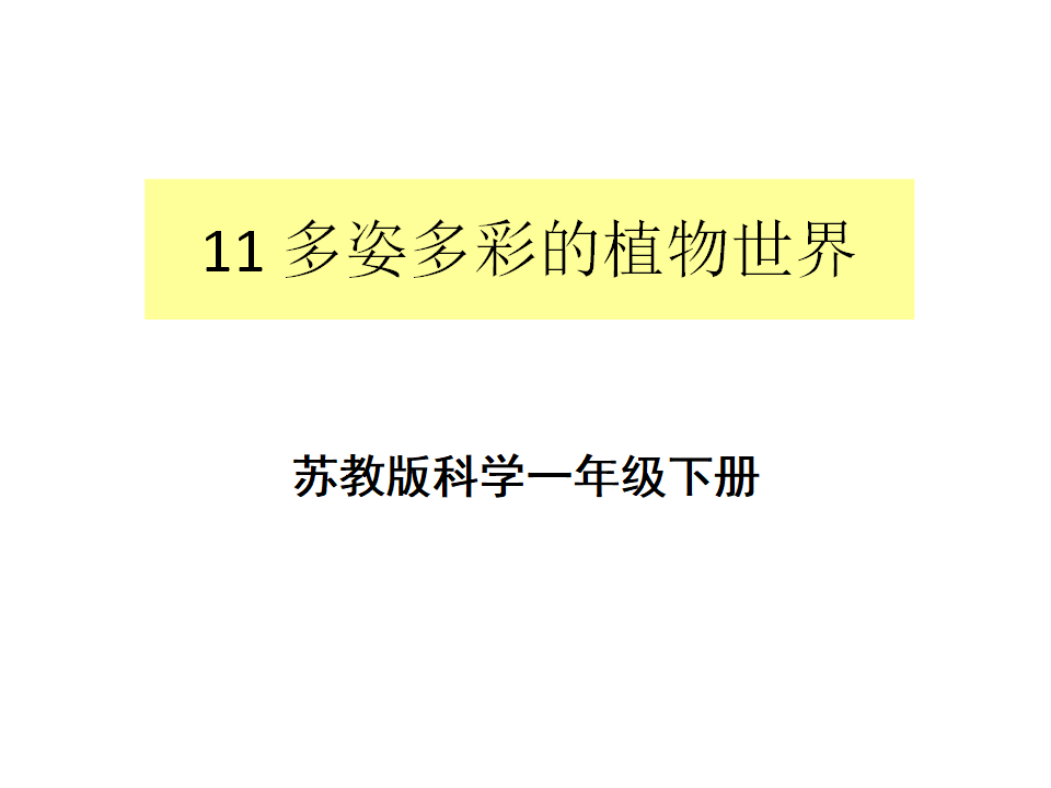 苏教版小学科学一年级下册-课件_166.png