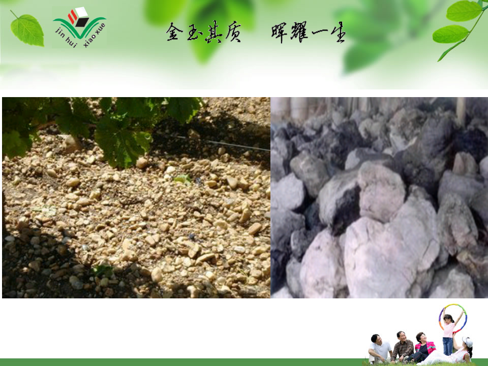一年级下册科学课件-3沙子与黏土｜苏教版共17张PPT_05.png